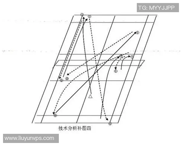 深圳羽毛球队技术表现数据分析与战术优化研究